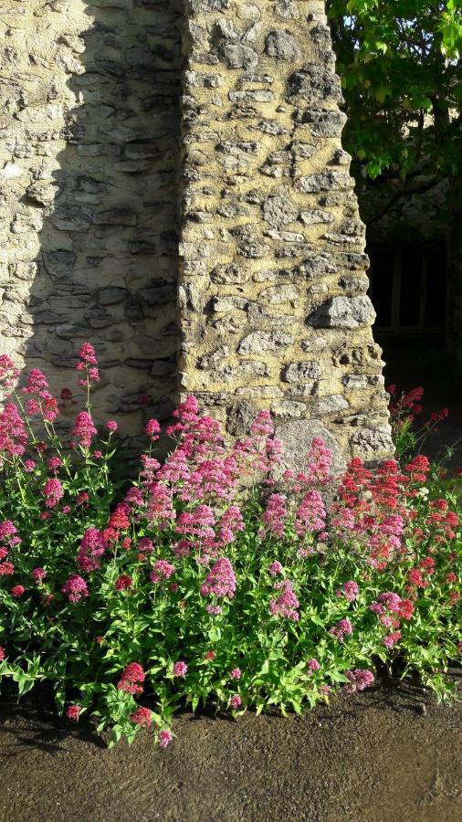Gite Aux Tournesols Malaucène Buitenkant foto