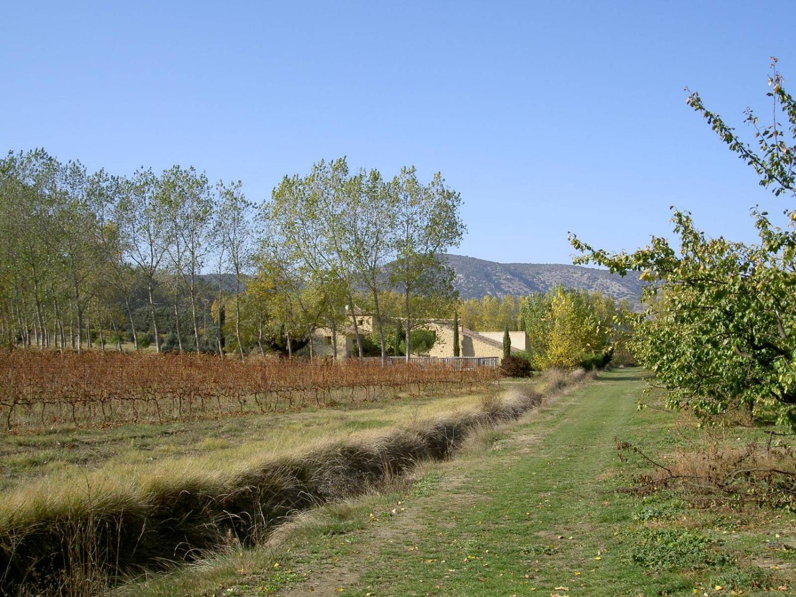 Gite Aux Tournesols Malaucène Buitenkant foto