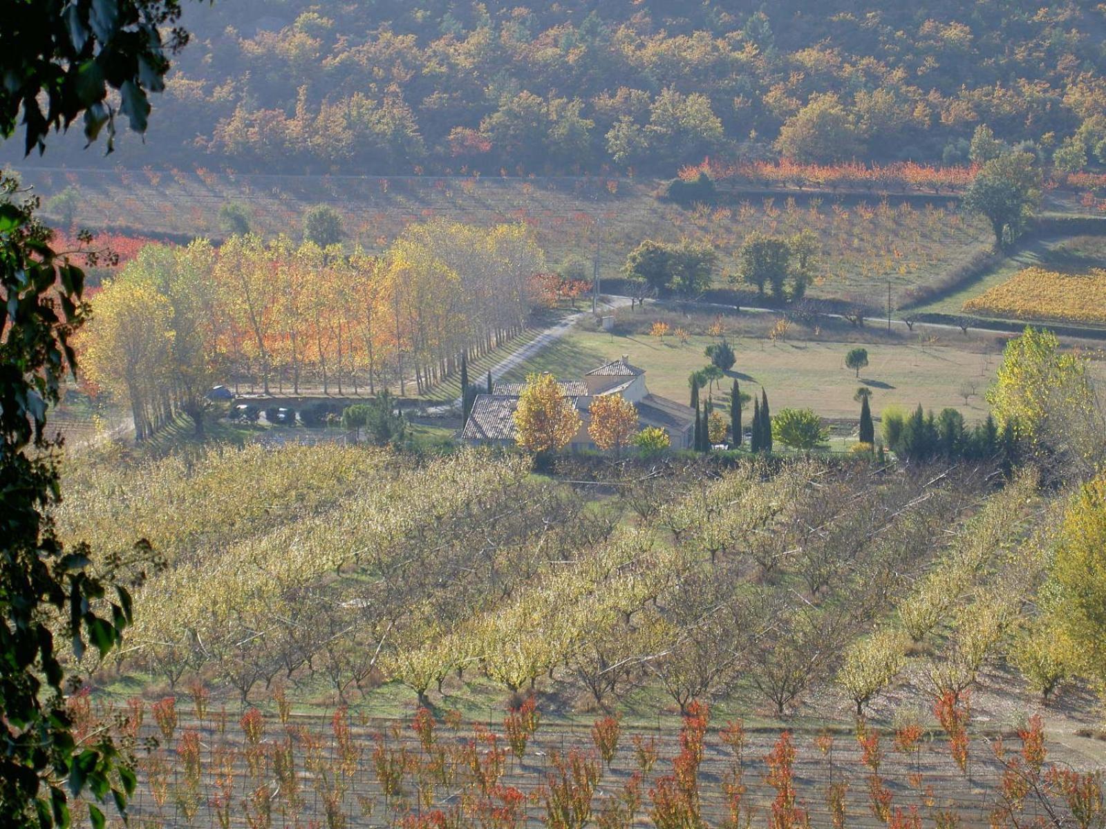 Gite Aux Tournesols Malaucène Buitenkant foto